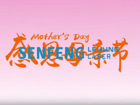 senfeng laser.jpg